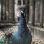 len.s_stories profile picture