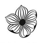 lenarcisseblanc profile picture