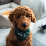 lennyroams profile picture