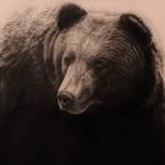 lenscratchart profile picture
