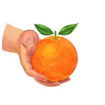 leonrestaurants profile picture