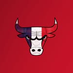 leschicagobulls profile picture