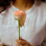 letters.of.parijat profile picture