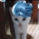 letuzawaofficial0 profile picture