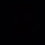 lev.kayel profile picture