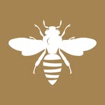 leviemedicina profile picture