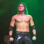 lev_wrestles profile picture