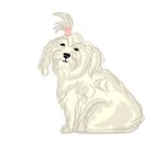 lewellenpictures profile picture