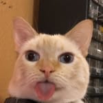lexagates profile picture
