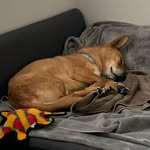 lex_get_physical_ profile picture