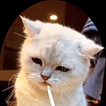 lexi.omo profile picture
