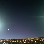 lferreira344 profile picture