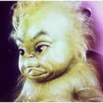liam.the.leemur profile picture