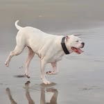 life.withyogi profile picture
