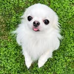 lifeaccordingtoleif profile picture