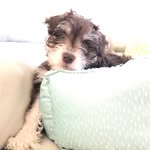 lifeasdenver profile picture