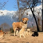 lifeatqudrat profile picture