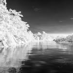 lifeininfrared profile picture