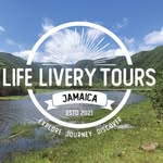 lifeliverytours profile picture