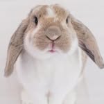 lifeofmill profile picture