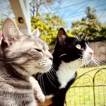 lifeof_rubyandsulley profile picture
