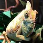 lifewithfred profile picture