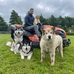 lifewithmalamutes profile picture
