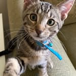 lifewithmavi profile picture