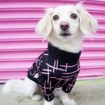 lifewithpenny profile picture