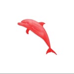 liftavolumes profile picture