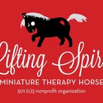 liftingspiritsminihorses profile picture