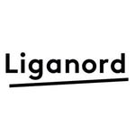 liganord_agency profile picture