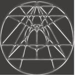 light_asylum profile picture