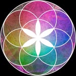 lightisconsciousness profile picture