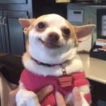 liiianas2 profile picture