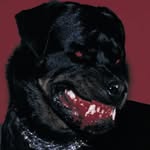 likeromeo profile picture