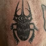 likytikytats profile picture