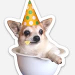 lil.hobbs profile picture