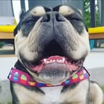 lil.miss.layla.mae profile picture