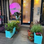 lilbabysbushwick profile picture