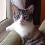 lilbunnysueroux profile picture