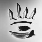 lillypollan_ profile picture