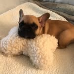 lil_nugget_lucy profile picture