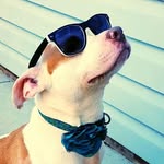 lilosstory profile picture