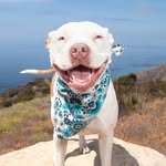 lilstaffymia profile picture