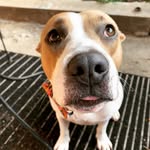 lily_living_her_best_life profile picture