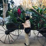lina_yassmi_ profile picture