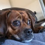lincolnnagasu profile picture