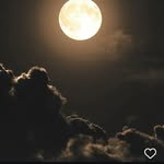 linda.lua27 profile picture