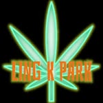 lingk_park profile picture